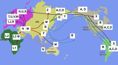 DNA facts for genealogy researchers: a layman's Q&A session